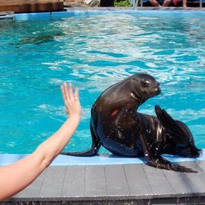 Meet your Posher, Heather